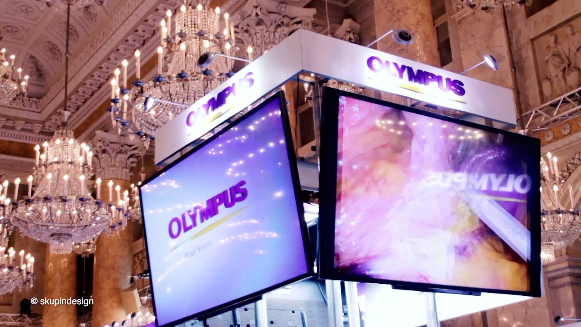 009 – Olympus EAES